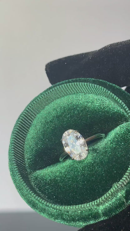 Moissanite Oval Solitaire Ring - White Gold on Silver - Pearl Drops- Rex Jewellers